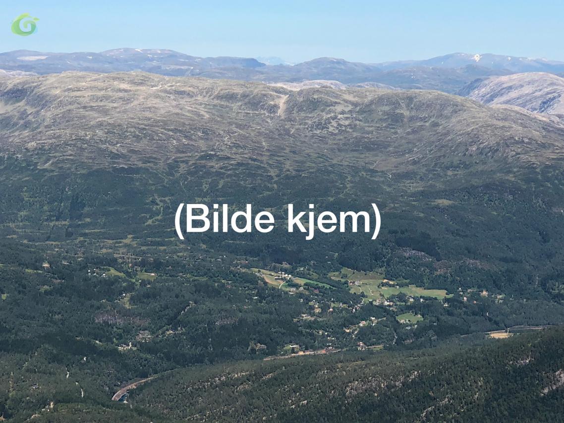 Bildekjem.1.jpg